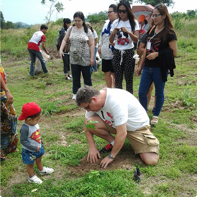 Tree Planting